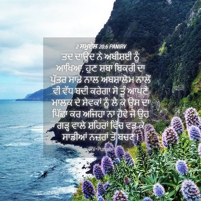 Picture 04 - 2 ਸਮੂਏਲ 20:6 PANIRV - ਤਦ ਦਾਊਦ ਨੇ ਅਬੀਸ਼ਈ - Bible Verse Picture