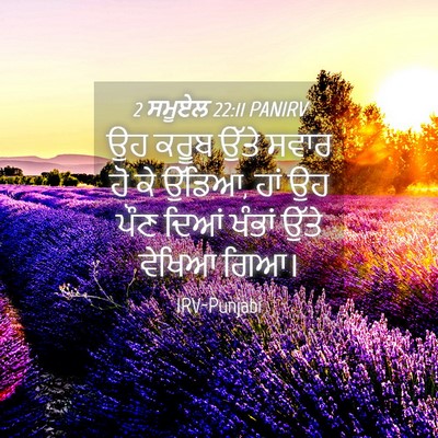 Picture 04 - 2 ਸਮੂਏਲ 22:11 PANIRV - ਉਹ ਕਰੂਬ ਉੱਤੇ ਸਵਾਰ - Bible Verse Picture