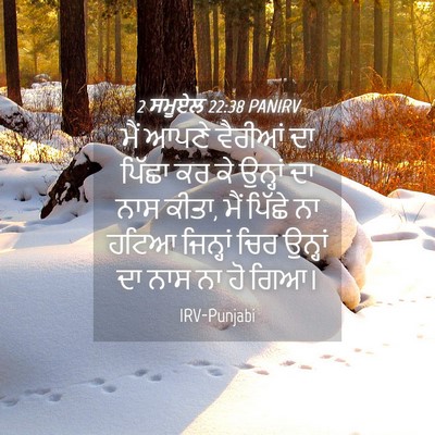 Picture 04 - 2 ਸਮੂਏਲ 22:38 PANIRV - ਮੈਂ ਆਪਣੇ ਵੈਰੀਆਂ ਦਾ - Bible Verse Picture