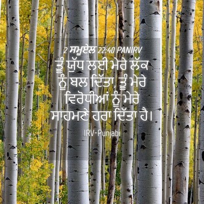 Picture 04 - 2 ਸਮੂਏਲ 22:40 PANIRV - ਤੂੰ ਯੁੱਧ ਲਈ ਮੇਰੇ - Bible Verse Picture