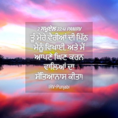 Picture 04 - 2 ਸਮੂਏਲ 22:41 PANIRV - ਤੂੰ ਮੇਰੇ ਵੈਰੀਆਂ ਦੀ - Bible Verse Picture