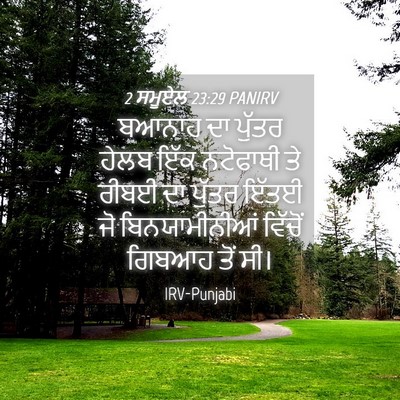 Picture 04 - 2 ਸਮੂਏਲ 23:29 PANIRV - ਬਆਨਾਹ ਦਾ ਪੁੱਤਰ - Bible Verse Picture