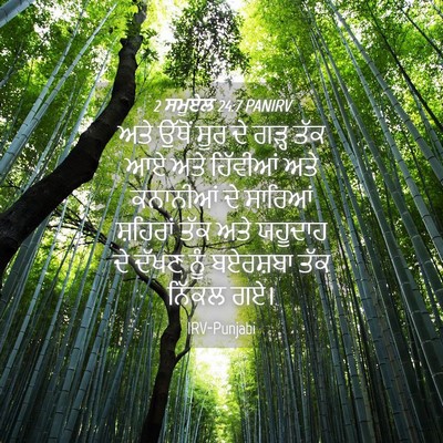 Picture 04 - 2 ਸਮੂਏਲ 24:7 PANIRV - ਅਤੇ ਉੱਥੋਂ ਸੂਰ ਦੇ - Bible Verse Picture