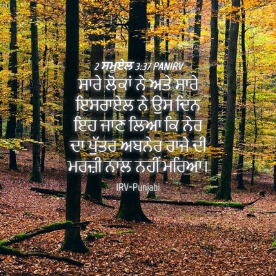Picture 04 - 2 ਸਮੂਏਲ 3:37 PANIRV - ਸਾਰੇ ਲੋਕਾਂ ਨੇ ਅਤੇ - Bible Verse Picture