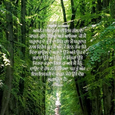 Picture 04 - 2 ਸਮੂਏਲ 3:8 PANIRV - ਅਬਨੇਰ ਈਸ਼ਬੋਸ਼ਥ ਦੀ - Bible Verse Picture