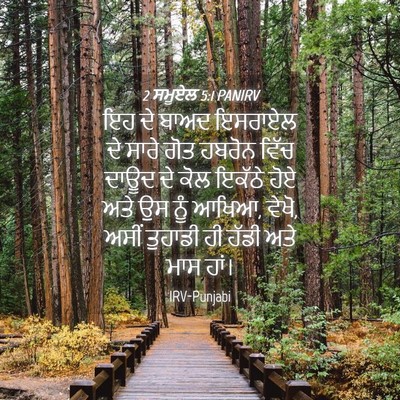 Picture 04 - 2 ਸਮੂਏਲ 5:1 PANIRV - ਇਹ ਦੇ ਬਾਅਦ ਇਸਰਾਏਲ - Bible Verse Picture
