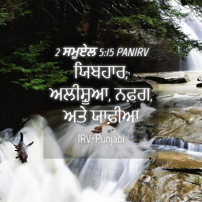 Picture 04 - 2 ਸਮੂਏਲ 5:15 PANIRV - ਯਿਬਹਾਰ, ਅਲੀਸ਼ੂਆ, - Bible Verse Picture