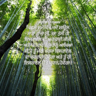 Picture 04 - 2 ਸਮੂਏਲ 5:2 PANIRV - ਪਿਛਲੇ ਸਮੇਂ ਵਿੱਚ - Bible Verse Picture