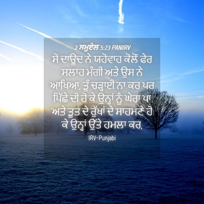 Picture 04 - 2 ਸਮੂਏਲ 5:23 PANIRV - ਸੋ ਦਾਊਦ ਨੇ ਯਹੋਵਾਹ - Bible Verse Picture