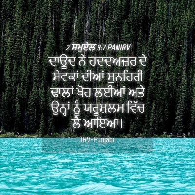 Picture 04 - 2 ਸਮੂਏਲ 8:7 PANIRV - ਦਾਊਦ ਨੇ ਹਦਦਅਜ਼ਰ ਦੇ - Bible Verse Picture