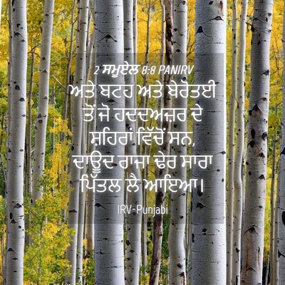 Picture 04 - 2 ਸਮੂਏਲ 8:8 PANIRV - ਅਤੇ ਬਟਹ ਅਤੇ ਬੇਰੋਤਈ - Bible Verse Picture