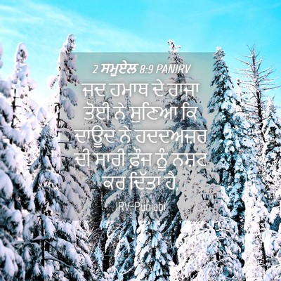 Picture 04 - 2 ਸਮੂਏਲ 8:9 PANIRV - ਜਦ ਹਮਾਥ ਦੇ ਰਾਜਾ ਤੋਈ - Bible Verse Picture