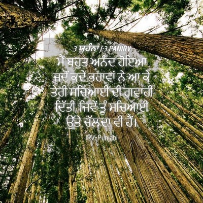 Picture 04 - 3 ਯੂਹੰਨਾ 1:3 PANIRV - ਮੈਂ ਬਹੁਤ ਅਨੰਦ ਹੋਇਆ - Bible Verse Picture