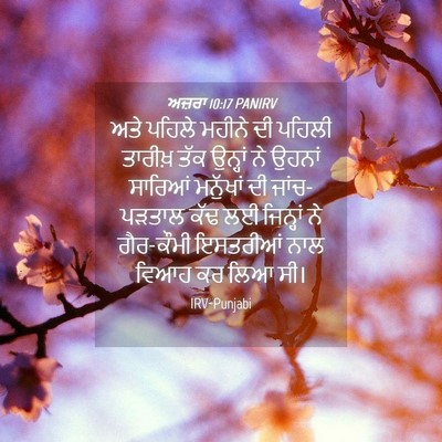 Picture 04 - ਅਜ਼ਰਾ 10:17 PANIRV - ਅਤੇ ਪਹਿਲੇ ਮਹੀਨੇ ਦੀ - Bible Verse Picture