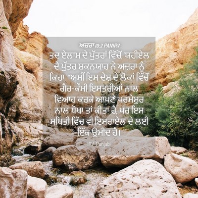Picture 04 - ਅਜ਼ਰਾ 10:2 PANIRV - ਤਦ ਏਲਾਮ ਦੇ ਪੁੱਤਰਾਂ - Bible Verse Picture