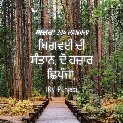 Picture 04 - ਅਜ਼ਰਾ 2:14 PANIRV - ਬਿਗਵਈ ਦੀ ਸੰਤਾਨ, ਦੋ - Bible Verse Picture