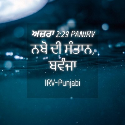 Picture 04 - ਅਜ਼ਰਾ 2:29 PANIRV - ਨਬੋ ਦੀ ਸੰਤਾਨ, - Bible Verse Picture