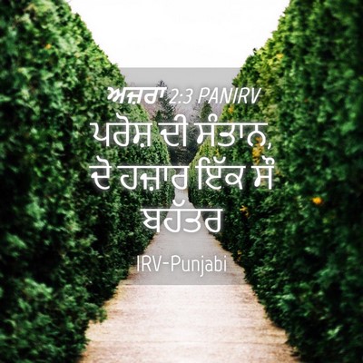 Picture 04 - ਅਜ਼ਰਾ 2:3 PANIRV - ਪਰੋਸ਼ ਦੀ ਸੰਤਾਨ, ਦੋ - Bible Verse Picture