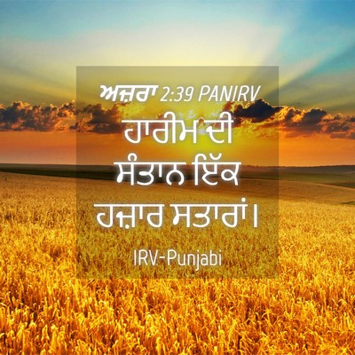 Picture 04 - ਅਜ਼ਰਾ 2:39 PANIRV - ਹਾਰੀਮ ਦੀ ਸੰਤਾਨ ਇੱਕ - Bible Verse Picture