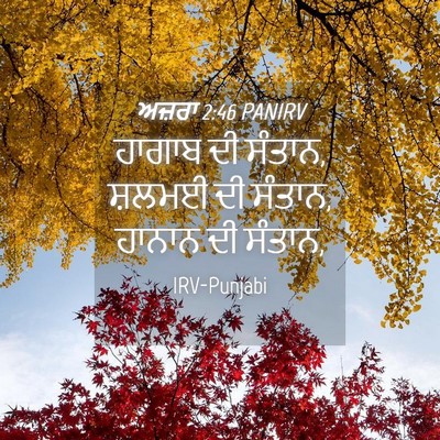 Picture 04 - ਅਜ਼ਰਾ 2:46 PANIRV - ਹਾਗਾਬ ਦੀ ਸੰਤਾਨ, - Bible Verse Picture