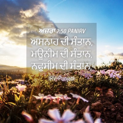 Picture 04 - ਅਜ਼ਰਾ 2:50 PANIRV - ਅਸਨਾਹ ਦੀ ਸੰਤਾਨ, - Bible Verse Picture