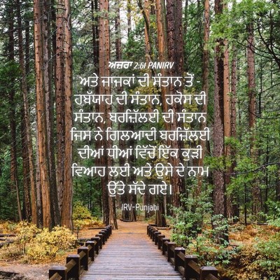 Picture 04 - ਅਜ਼ਰਾ 2:61 PANIRV - ਅਤੇ ਜਾਜਕਾਂ ਦੀ - Bible Verse Picture