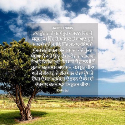 Picture 04 - ਅਜ਼ਰਾ 3:8 PANIRV - ਤਦ ਉਹਨਾਂ ਦੇ - Bible Verse Picture