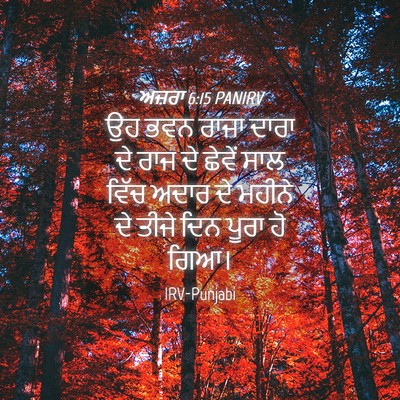 Picture 04 - ਅਜ਼ਰਾ 6:15 PANIRV - ਉਹ ਭਵਨ ਰਾਜਾ ਦਾਰਾ ਦੇ - Bible Verse Picture