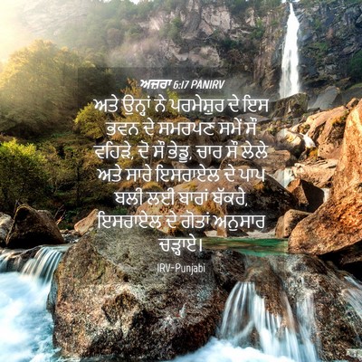 Picture 04 - ਅਜ਼ਰਾ 6:17 PANIRV - ਅਤੇ ਉਨ੍ਹਾਂ ਨੇ - Bible Verse Picture