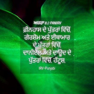 Picture 04 - ਅਜ਼ਰਾ 8:2 PANIRV - ਫ਼ੀਨਹਾਸ ਦੇ - Bible Verse Picture