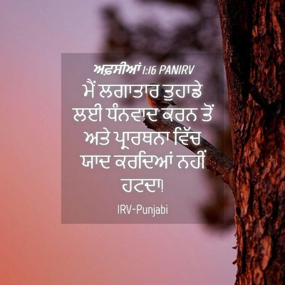 Picture 04 - ਅਫ਼ਸੀਆਂ 1:16 PANIRV - ਮੈਂ ਲਗਾਤਾਰ ਤੁਹਾਡੇ - Bible Verse Picture