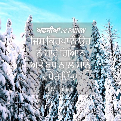 Picture 04 - ਅਫ਼ਸੀਆਂ 1:8 PANIRV - ਜਿਸ ਕਿਰਪਾ ਨੂੰ ਉਹ ਨੇ - Bible Verse Picture
