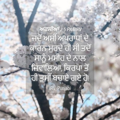Picture 04 - ਅਫ਼ਸੀਆਂ 2:5 PANIRV - ਜਦੋਂ ਅਸੀਂ ਅਪਰਾਧਾਂ - Bible Verse Picture