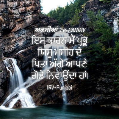 Picture 04 - ਅਫ਼ਸੀਆਂ 3:14 PANIRV - ਇਸ ਕਾਰਨ ਮੈਂ ਪ੍ਰਭੂ - Bible Verse Picture