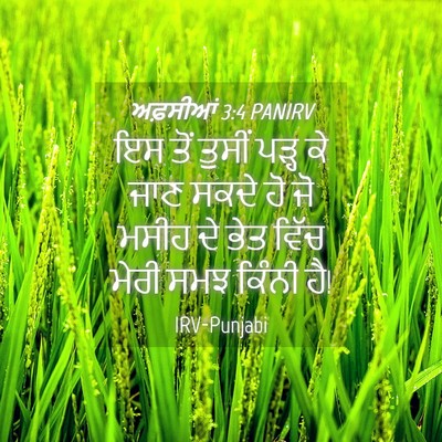 Picture 04 - ਅਫ਼ਸੀਆਂ 3:4 PANIRV - ਇਸ ਤੋਂ ਤੁਸੀਂ ਪੜ੍ਹ - Bible Verse Picture