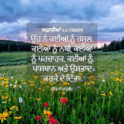 Picture 04 - ਅਫ਼ਸੀਆਂ 4:11 PANIRV - ਉਹ ਨੇ ਕਈਆਂ ਨੂੰ - Bible Verse Picture