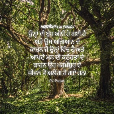 Picture 04 - ਅਫ਼ਸੀਆਂ 4:18 PANIRV - ਉਨ੍ਹਾਂ ਦੀ ਬੁੱਧ - Bible Verse Picture