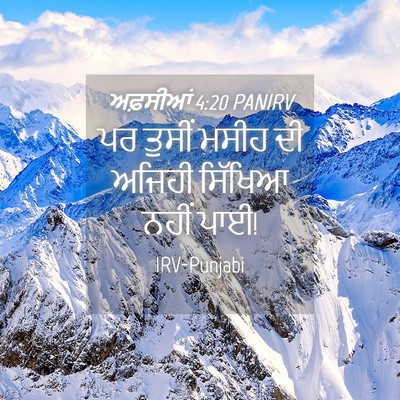 Picture 04 - ਅਫ਼ਸੀਆਂ 4:20 PANIRV - ਪਰ ਤੁਸੀਂ ਮਸੀਹ ਦੀ - Bible Verse Picture
