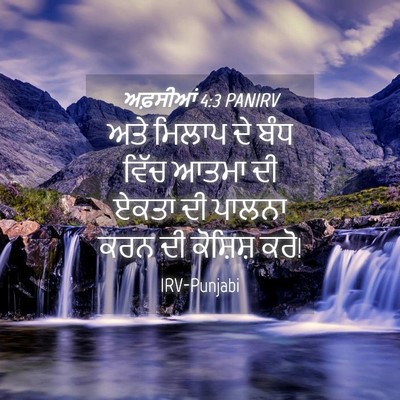 Picture 04 - ਅਫ਼ਸੀਆਂ 4:3 PANIRV - ਅਤੇ ਮਿਲਾਪ ਦੇ ਬੰਧ - Bible Verse Picture