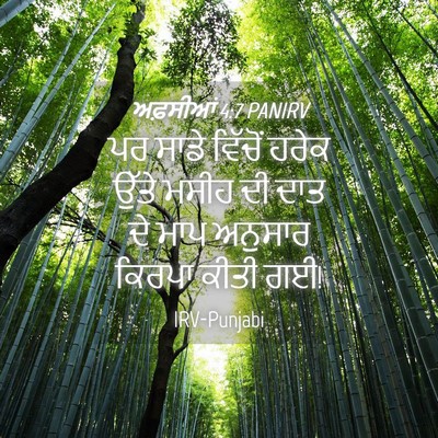 Picture 04 - ਅਫ਼ਸੀਆਂ 4:7 PANIRV - ਪਰ ਸਾਡੇ ਵਿੱਚੋਂ - Bible Verse Picture