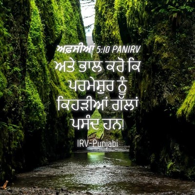 Picture 04 - ਅਫ਼ਸੀਆਂ 5:10 PANIRV - ਅਤੇ ਭਾਲ ਕਰੋ ਕਿ - Bible Verse Picture