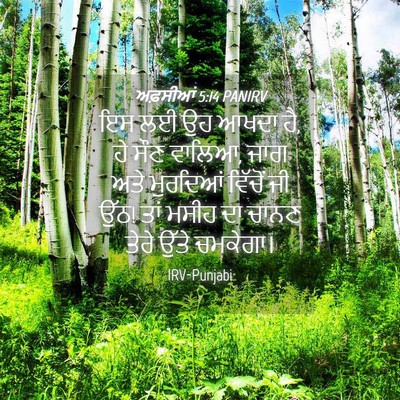 Picture 04 - ਅਫ਼ਸੀਆਂ 5:14 PANIRV - ਇਸ ਲਈ ਉਹ ਆਖਦਾ ਹੈ, ਹੇ - Bible Verse Picture