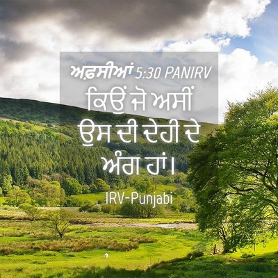 Picture 04 - ਅਫ਼ਸੀਆਂ 5:30 PANIRV - ਕਿਉਂ ਜੋ ਅਸੀਂ ਉਸ ਦੀ - Bible Verse Picture