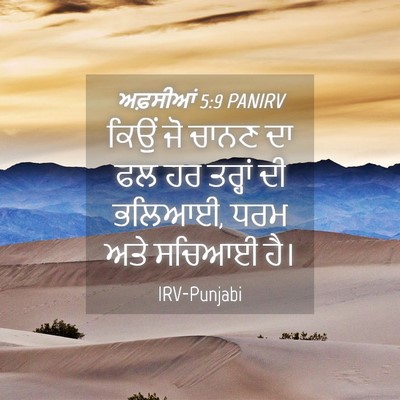 Picture 04 - ਅਫ਼ਸੀਆਂ 5:9 PANIRV - ਕਿਉਂ ਜੋ ਚਾਨਣ ਦਾ ਫਲ - Bible Verse Picture