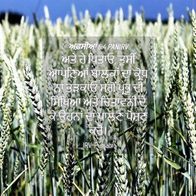 Picture 04 - ਅਫ਼ਸੀਆਂ 6:4 PANIRV - ਅਤੇ ਹੇ ਪਿਤਾਓ, ਤੁਸੀਂ - Bible Verse Picture