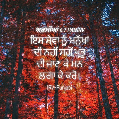 Picture 04 - ਅਫ਼ਸੀਆਂ 6:7 PANIRV - ਇਸ ਸੇਵਾ ਨੂੰ - Bible Verse Picture