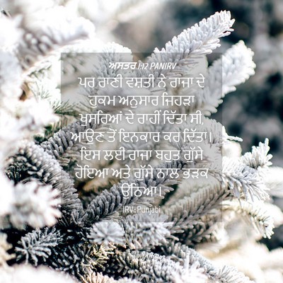 Picture 04 - ਅਸਤਰ 1:12 PANIRV - ਪਰ ਰਾਣੀ ਵਸ਼ਤੀ ਨੇ - Bible Verse Picture