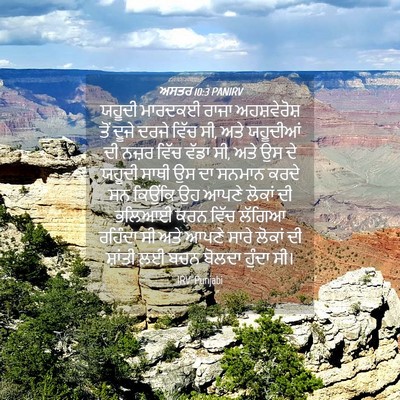 Picture 04 - ਅਸਤਰ 10:3 PANIRV - ਯਹੂਦੀ ਮਾਰਦਕਈ ਰਾਜਾ - Bible Verse Picture