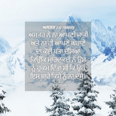 Picture 04 - ਅਸਤਰ 2:10 PANIRV - ਅਸਤਰ ਨੇ ਨਾ ਆਪਣੀ - Bible Verse Picture