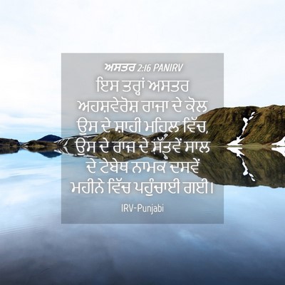 Picture 04 - ਅਸਤਰ 2:16 PANIRV - ਇਸ ਤਰ੍ਹਾਂ ਅਸਤਰ - Bible Verse Picture